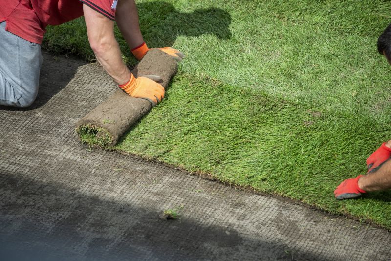Synthetic Turf Maintenance