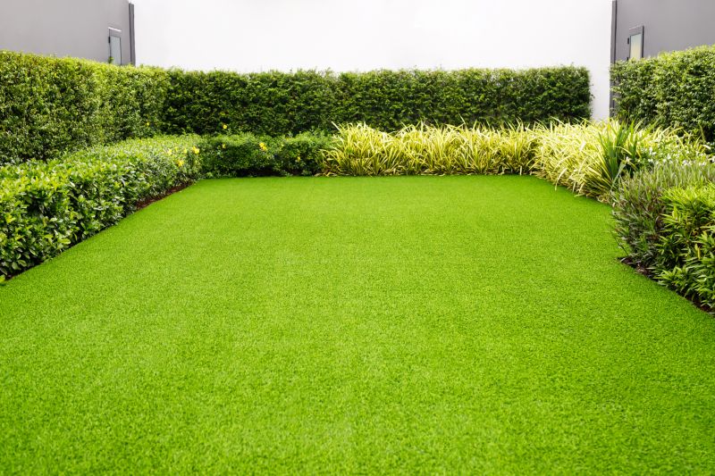 Synthetic Turf Maintenance detail